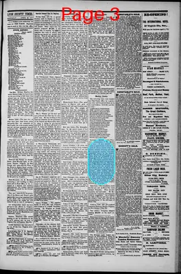 Page thumbnail for Lyon County Times