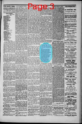 Page thumbnail for Lyon County Times