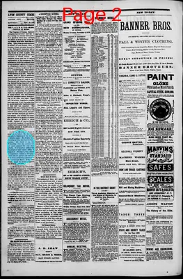 Page thumbnail for Lyon County Times
