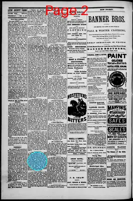 Page thumbnail for Lyon County Times
