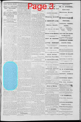 Page thumbnail for The Silver State