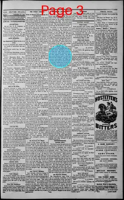 Page thumbnail for The Silver State