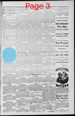 Page thumbnail for The Silver State