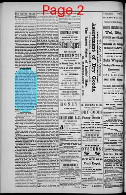 Page thumbnail for The Silver State