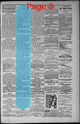 Page thumbnail for The Silver State