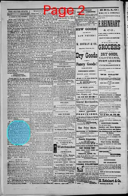 Page thumbnail for The Silver State