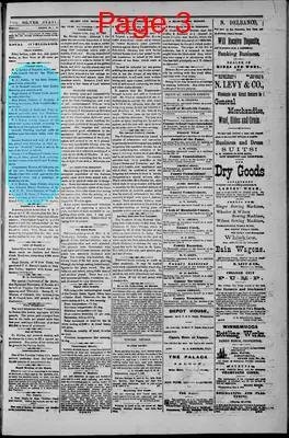 Page thumbnail for The Silver State
