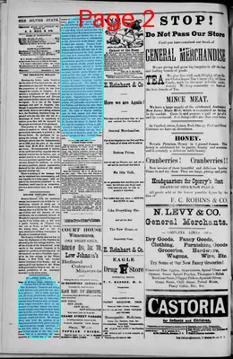 Page thumbnail for The Silver State