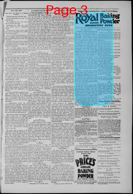 Page thumbnail for The Silver State