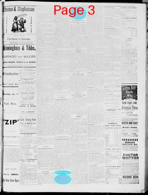 Page thumbnail for The Waco Daily Examiner