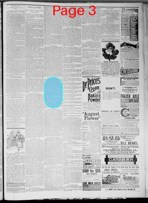 Page thumbnail for Idaho Semi Weekly World
