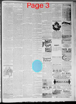 Page thumbnail for Idaho Semi Weekly World