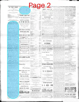 Page thumbnail for The Cheyenne Daily Leader