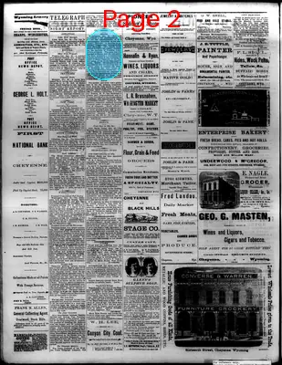 Page thumbnail for The Cheyenne Daily Leader