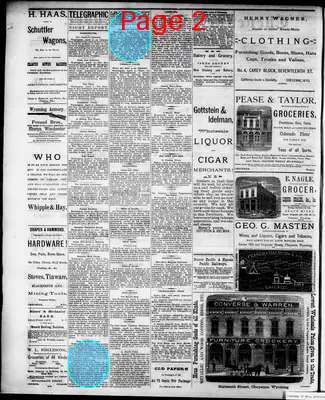 Page thumbnail for The Cheyenne Daily Leader