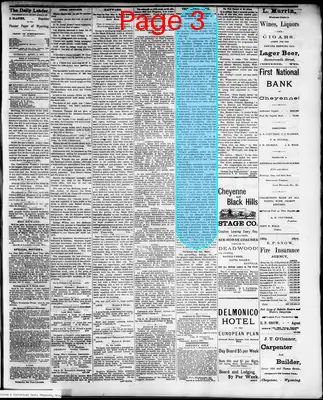 Page thumbnail for The Cheyenne Daily Leader