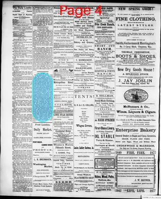 Page thumbnail for The Cheyenne Daily Leader