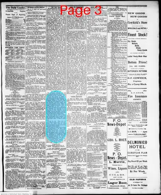 Page thumbnail for The Cheyenne Daily Leader