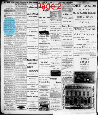 Page thumbnail for The Cheyenne Daily Leader