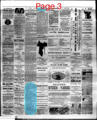 Page thumbnail for The Cheyenne Daily Leader