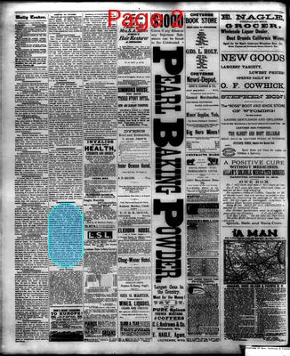 Page thumbnail for The Cheyenne Daily Leader