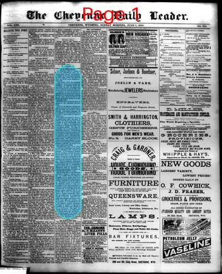 Page thumbnail for The Cheyenne Daily Leader