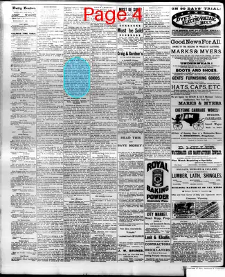 Page thumbnail for The Cheyenne Daily Leader