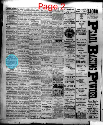 Page thumbnail for The Cheyenne Daily Leader