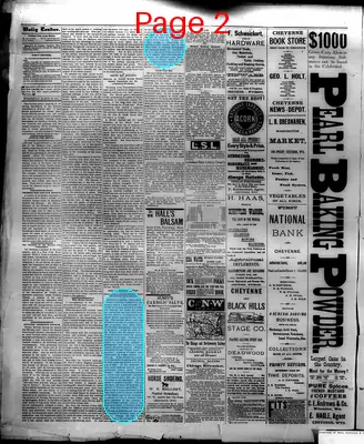 Page thumbnail for The Cheyenne Daily Leader