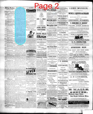 Page thumbnail for The Cheyenne Daily Leader