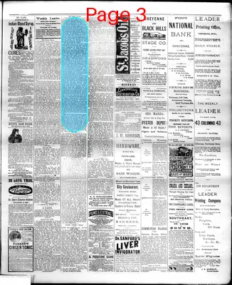 Page thumbnail for The Cheyenne Daily Leader