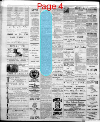 Page thumbnail for The Cheyenne Daily Leader