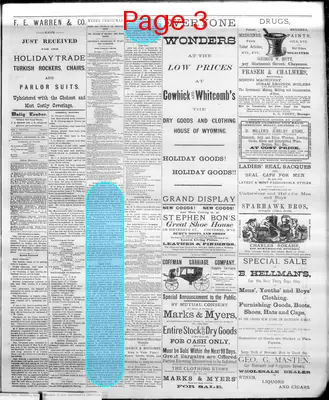 Page thumbnail for The Cheyenne Daily Leader