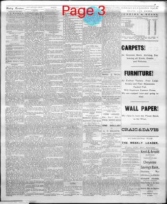 Page thumbnail for The Cheyenne Daily Leader