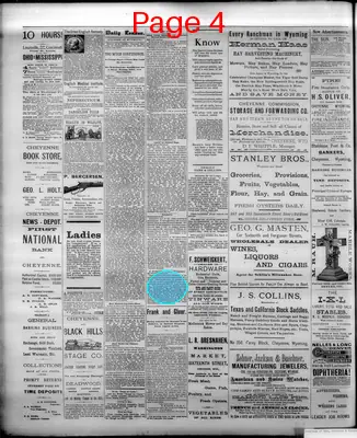 Page thumbnail for The Cheyenne Daily Leader