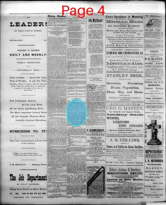 Page thumbnail for The Cheyenne Daily Leader