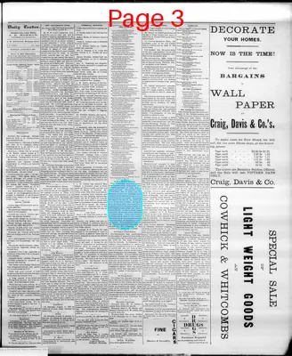 Page thumbnail for The Cheyenne Daily Leader