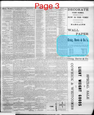 Page thumbnail for The Cheyenne Daily Leader
