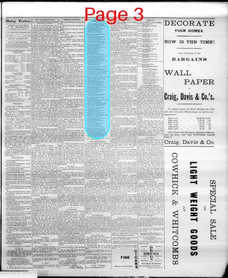 Page thumbnail for The Cheyenne Daily Leader