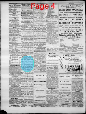 Page thumbnail for The Cheyenne Leader
