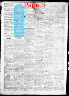 Page thumbnail for Dallas Herald