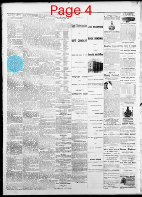 Page thumbnail for The Dallas Weekly Herald