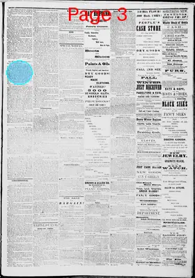 Page thumbnail for Ellsworth American