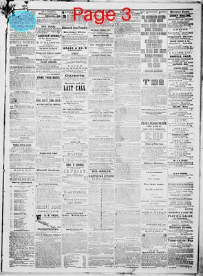 Page thumbnail for Ellsworth American