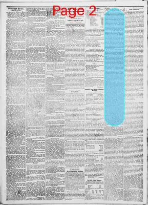 Page thumbnail for Ellsworth American