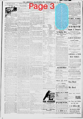 Page thumbnail for Ellsworth American