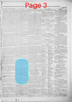 Page thumbnail for Danbury Times