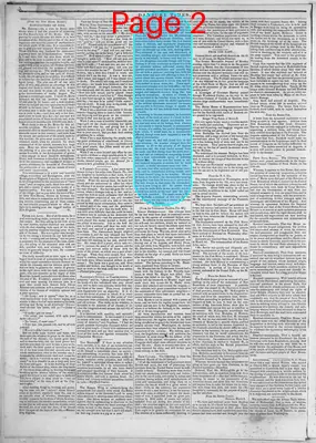 Page thumbnail for Danbury Times