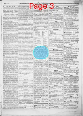 Page thumbnail for Danbury Times