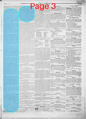 Page thumbnail for Danbury Times